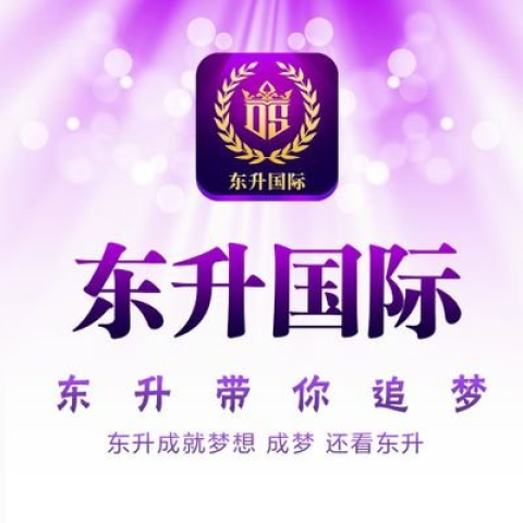 东升国际